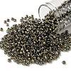 TOHO Round Seed Beads SEED-JPTR08-0999-1