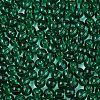 FGB Transparent Glass Seed Beads SEED-N013-01A-06-3