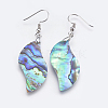 Abalone Shell/Paua Shell Dangle Earrings EJEW-F147-E-2