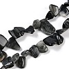 Natural Eagle Eye Stone Nuggets Beads Strands G-B125-A15-01-1
