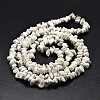Chip Natural Howlite Beads Strands X-G-N0134-11-3