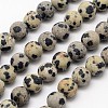 Natural Dalmatian Jasper Beads Strands X-G-D685-8mm-1