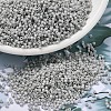 MIYUKI Delica Beads SEED-X0054-DB2366-1