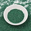 MIYUKI Delica Beads SEED-X0054-DB1788-2