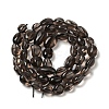 Natural Ice Obsidian Beads Strands G-P497-01A-15-4