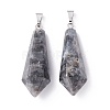Natural Larvikite Pointed Pendants G-I314-02P-10-2