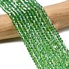 Glass Beads Strands EGLA-S056-2mm-06-3