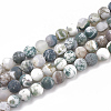 Natural Tree Agate Beads Strands X-G-T106-038-1