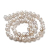 Tibetan Style dZi Beads Strands G-P526-D05-01-3
