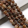 Natural Yellow Tiger Eye Beads Strands G-H238-8mm-5