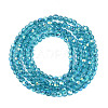 Transparent Glass Beads Strands EGLA-N028-01A-A05-3