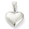 304 Stainless Steel Pendants X-STAS-P278-01T-P-2