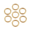 Ion Plating(IP) 304 Stainless Steel Closed Jump Rings STAS-G393-06G-07-1