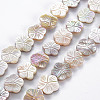 Electroplated Natural Freshwater Shell Beads Strands SHEL-N026-164-1