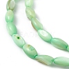 Natural Freshwater Shell Dyed Beads Strands SHEL-M018-13-03-3
