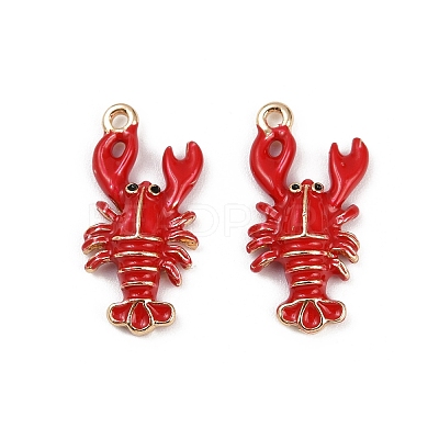 Brass Alloy Pendants X-KK-R226-15G-01-1