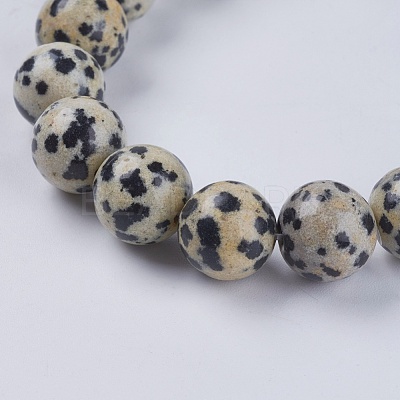 Natural Dalmation Jasper Beads Strands X-G-G515-10mm-06-1