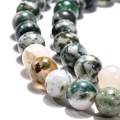Natural Tree Agate Beads Strands G-H1633-8MM-1