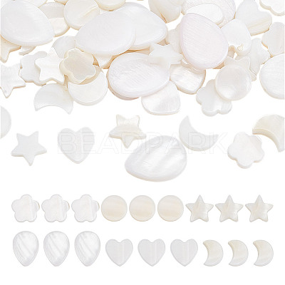 120Pcs 6 Styles Natural Shell Beads SHEL-GO0001-07-1