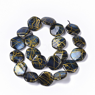 Drawbench Freshwater Shell Beads Strands SHEL-T014-013-1