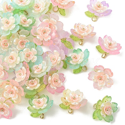 50Pcs 5 Colors Acrylic Charms PALLOY-YW00127-1
