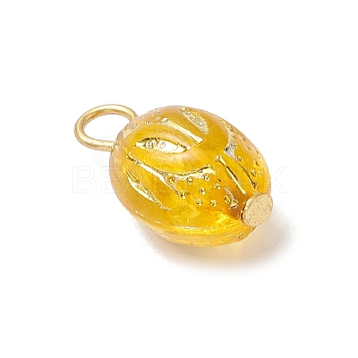 Transparent Acrylic Pendants PALLOY-JF04346-1