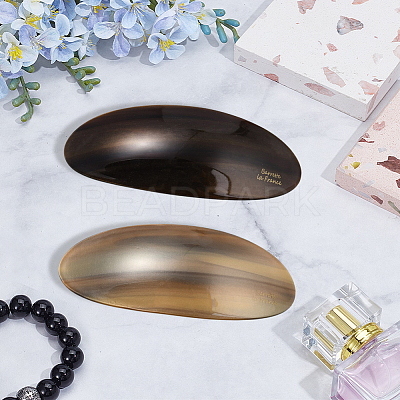 2Pcs 2 Colors Resin and Iron Hair Barrettes PHAR-GO0001-07A-1