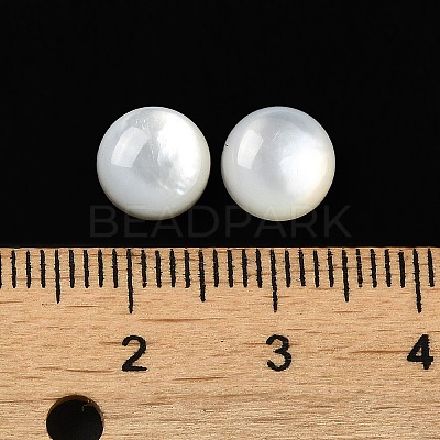 Natural White Shell Cabochons SSHEL-M022-01B-1