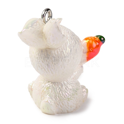 Animal Theme Resin Pendants RESI-S010-04G-1