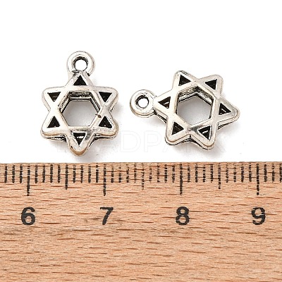 Tibetan Style Alloy Charms FIND-Z099-07AS-01-1