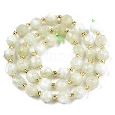 Natural Dolomite Beads Strands G-T131-85A-11-1