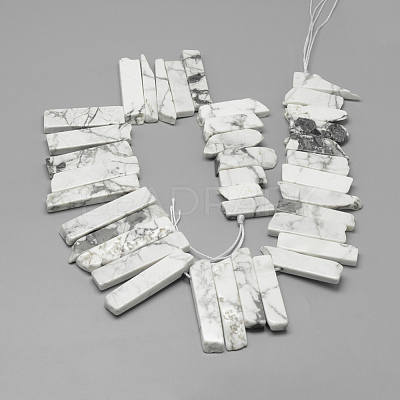 Natural Howlite Beads Strands G-R419-21-1