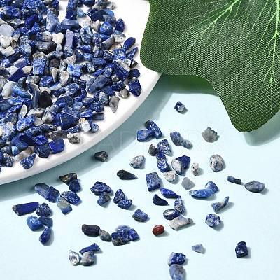 Natural Lapis Lazuli Chip Beads G-L453-05-1
