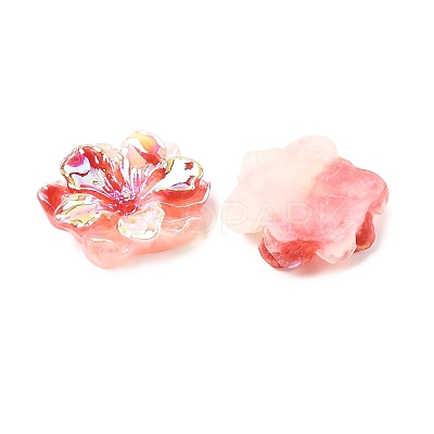 Luminous Resin Cabochons LS-RESI-E033-02H-1