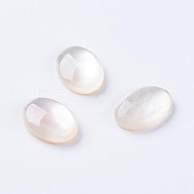 Shell Cabochons G-L470-15-1
