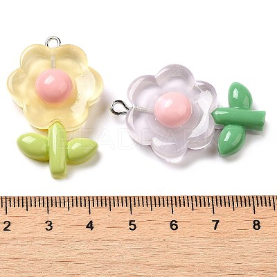 Translucent Resin Pendants CRES-M030-02-1