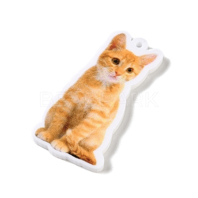 Opaque Printed Acrylic Pendants SACR-F018-01A-1
