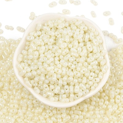 Baking Paint Glass Seed Beads SEED-L011-09A-17-1