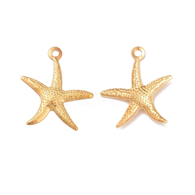 Iron Pendants IFIN-I030-10G-1
