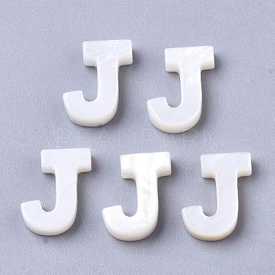 Natural Freshwater Shell Beads SHEL-T012-59J-1