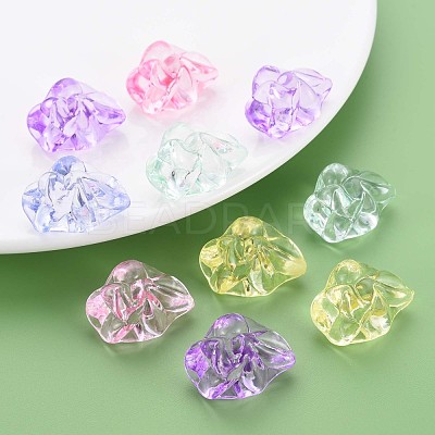 Transparent Acrylic Beads MACR-S373-74-B-1