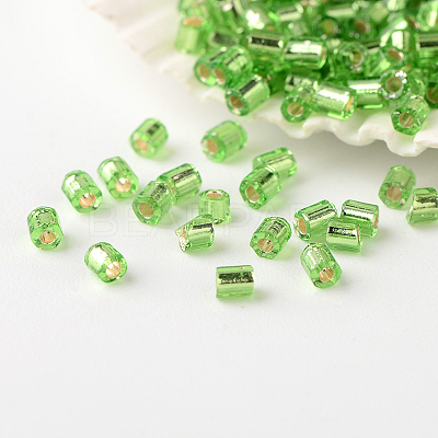 FGB Grade A Glass Seed Beads SEED-A023-F-H49-1
