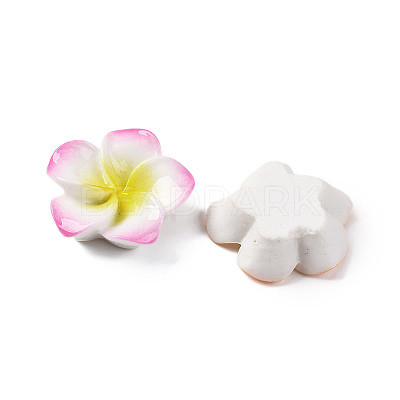 Opaque Resin Cabochons RESI-R455-01C-1