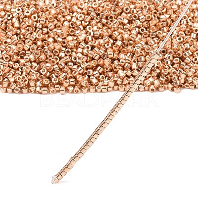 MIYUKI Delica Beads LS-X-SEED-J020-DB2518-1