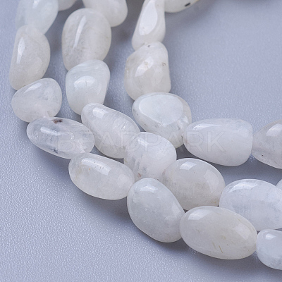Natural Rainbow Moonstone Beads Strands X-G-P433-16-1