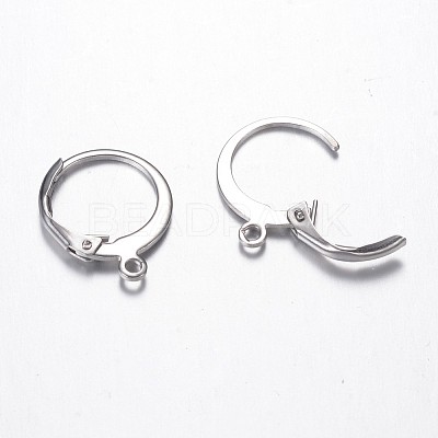 Tarnish Resistant 304 Stainless Steel Leverback Earring Findings X-STAS-G059-19-1