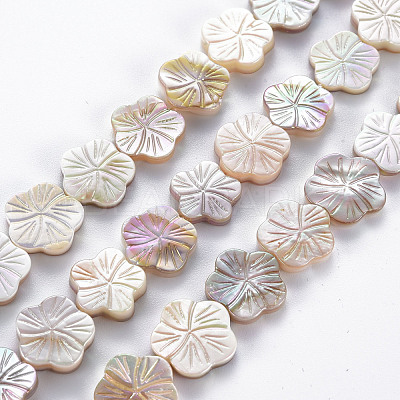 Electroplated Natural Freshwater Shell Beads Strands SHEL-N026-164-1