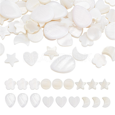 120Pcs 6 Styles Natural Shell Beads SHEL-GO0001-07-1