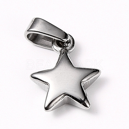 Tarnish Resistant 304 Stainless Steel Charms STAS-I127-067P-1