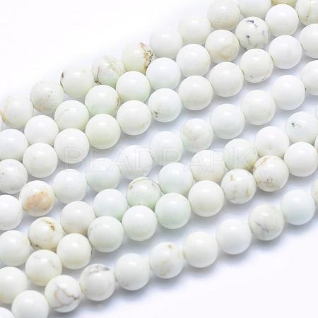 Natural Magnesite Beads Strands TURQ-G148-09-6mm-1